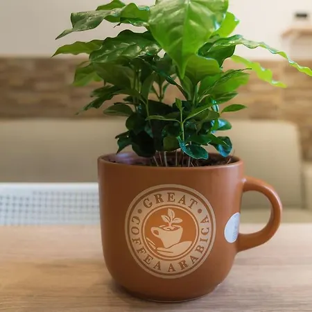 Il tempo di un Caffè-2